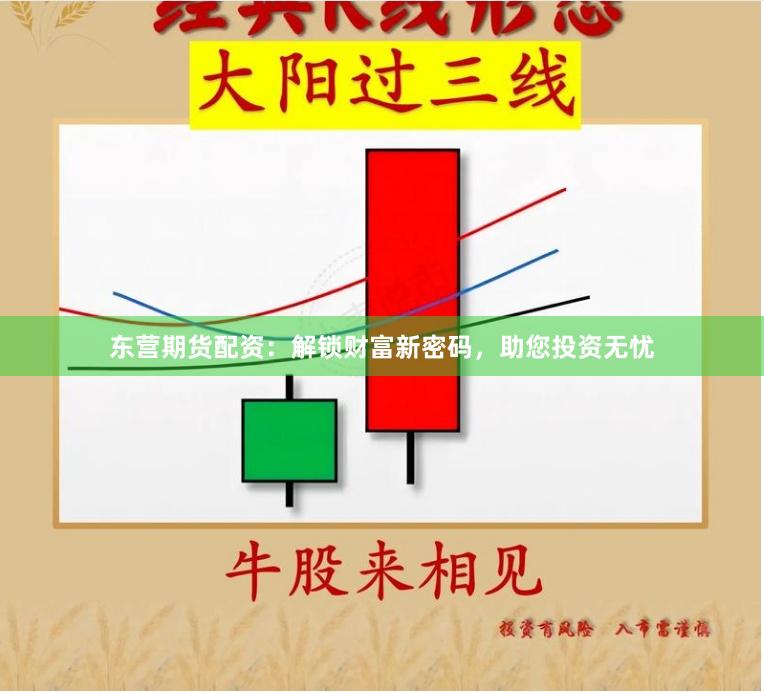 东营期货配资：解锁财富新密码，助您投资无忧