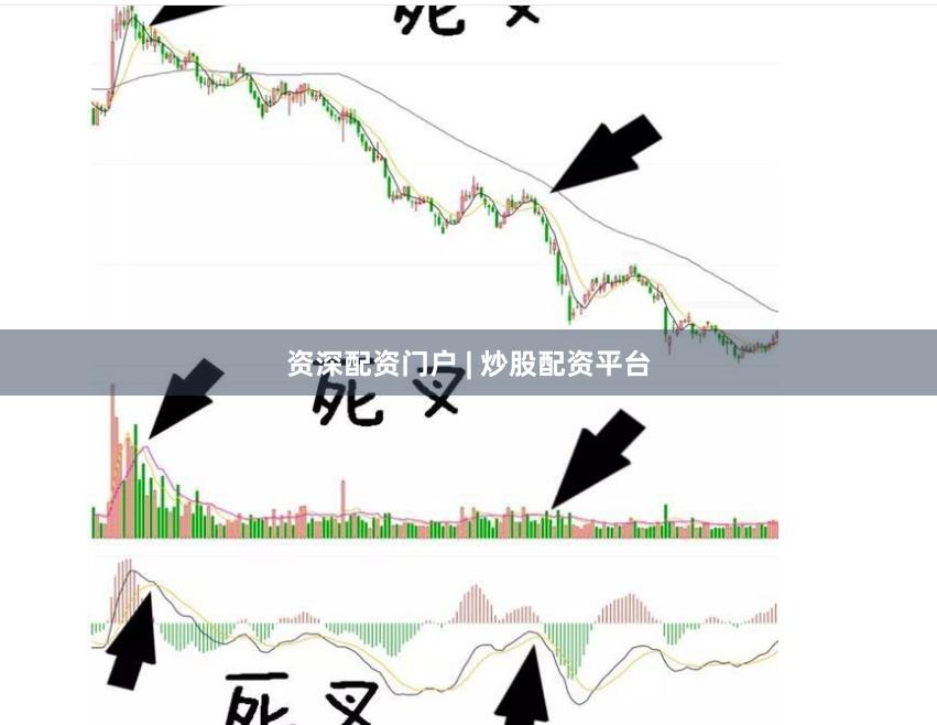 资深配资门户 | 炒股配资平台