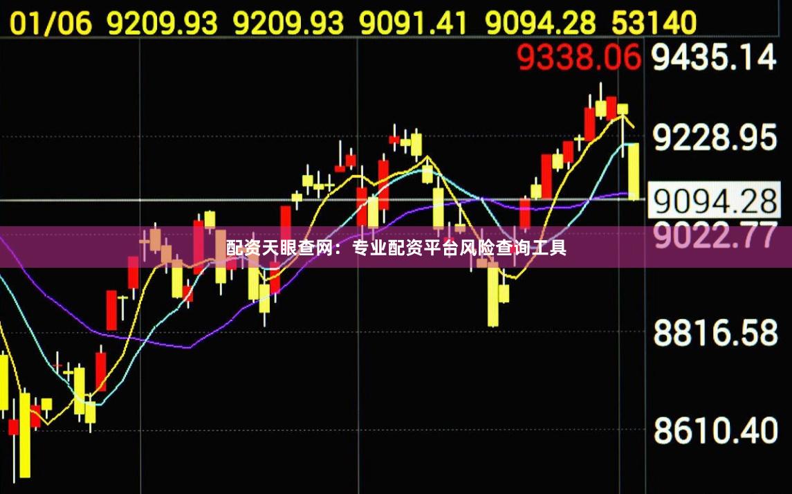 配资天眼查网：专业配资平台风险查询工具