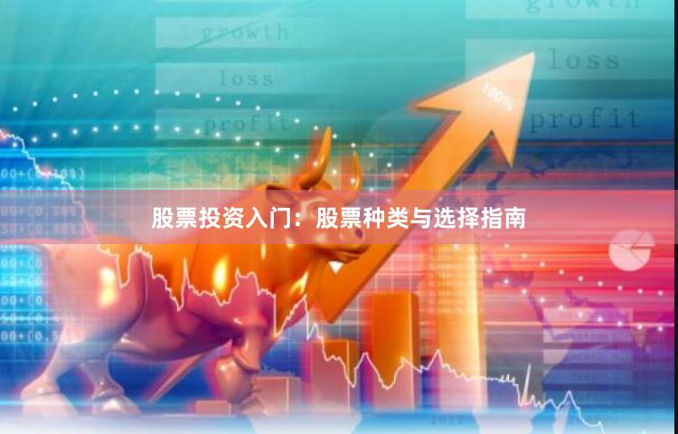 股票投资入门：股票种类与选择指南